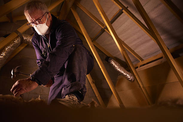 Best Insulation Materials and Products in Fort Myers, FL